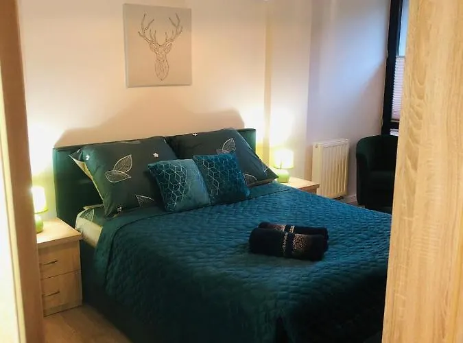 Bajka * كرينيتسا زدروي